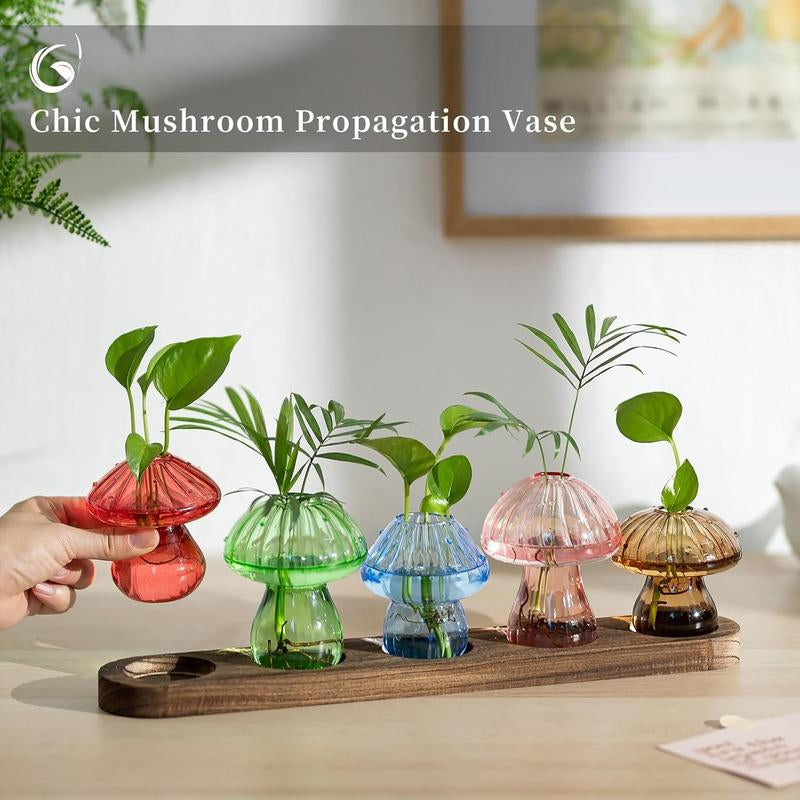 Mushroom Propagation Stations: Glass Terrarium Jars with Stand - Hydroponic Planters for Indoor , Office Decor - 5 Count