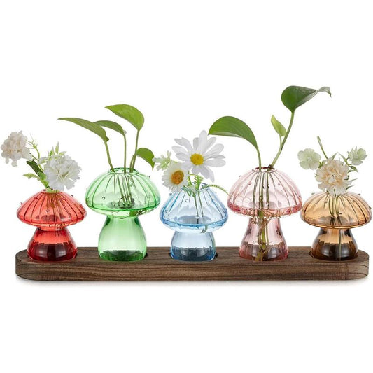 Mushroom Propagation Stations: Glass Terrarium Jars with Stand - Hydroponic Planters for Indoor , Office Decor - 5 Count