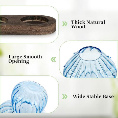 Mushroom Propagation Stations: Glass Terrarium Jars with Stand - Hydroponic Planters for Indoor , Office Decor - 5 Count