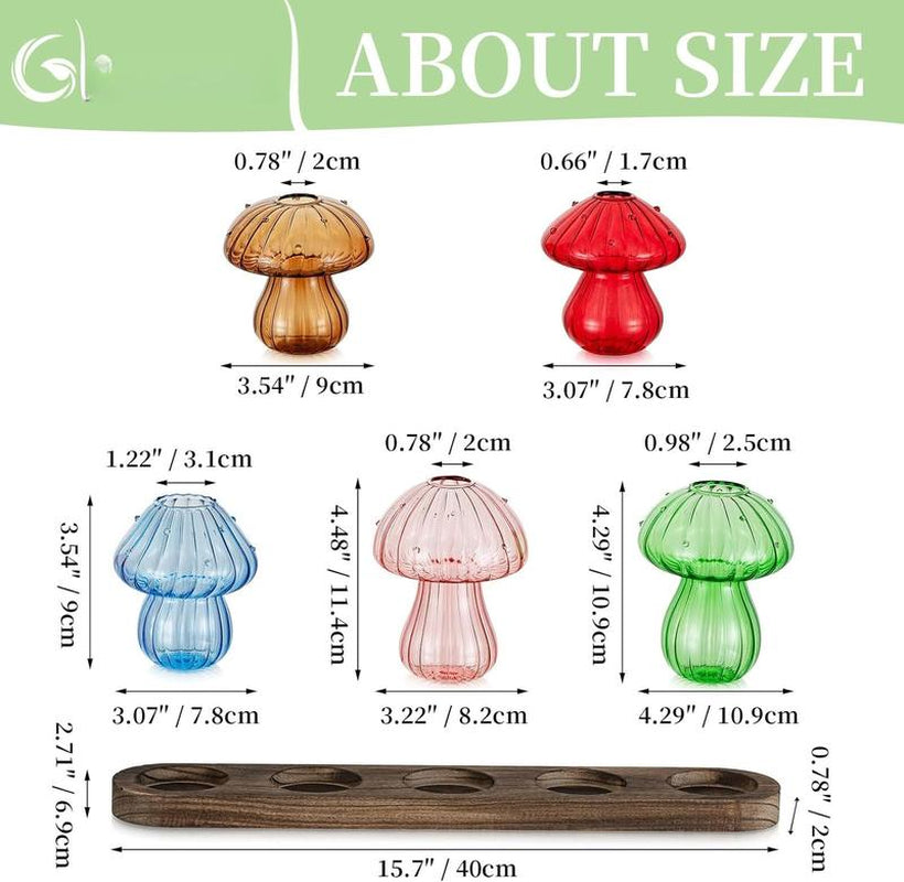 Mushroom Propagation Stations: Glass Terrarium Jars with Stand - Hydroponic Planters for Indoor , Office Decor - 5 Count