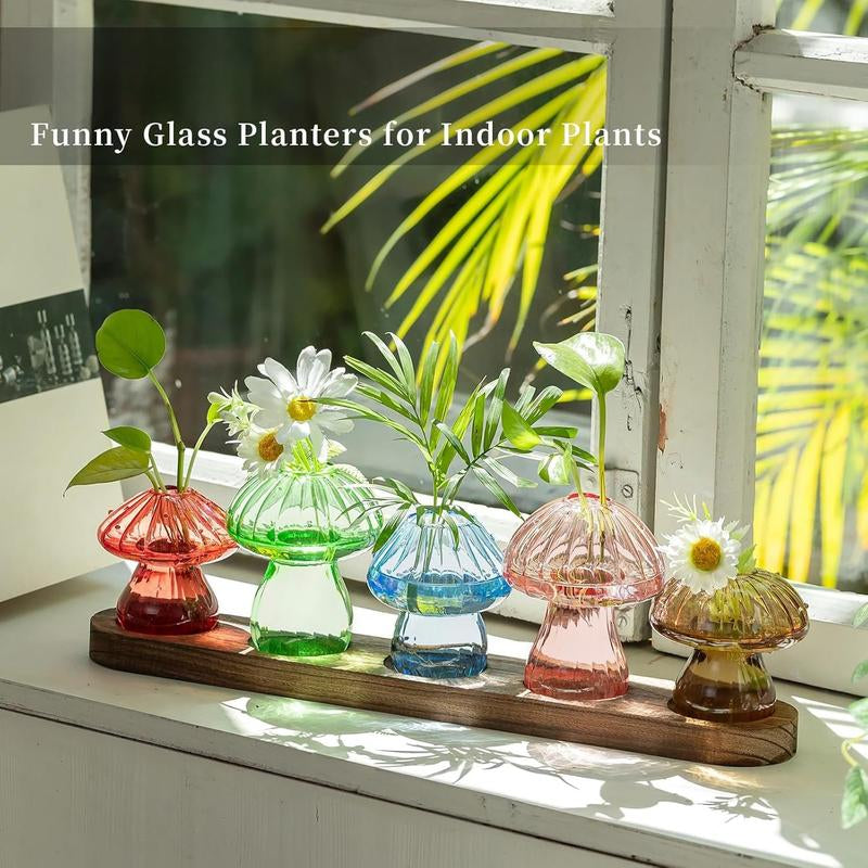 Mushroom Propagation Stations: Glass Terrarium Jars with Stand - Hydroponic Planters for Indoor , Office Decor - 5 Count