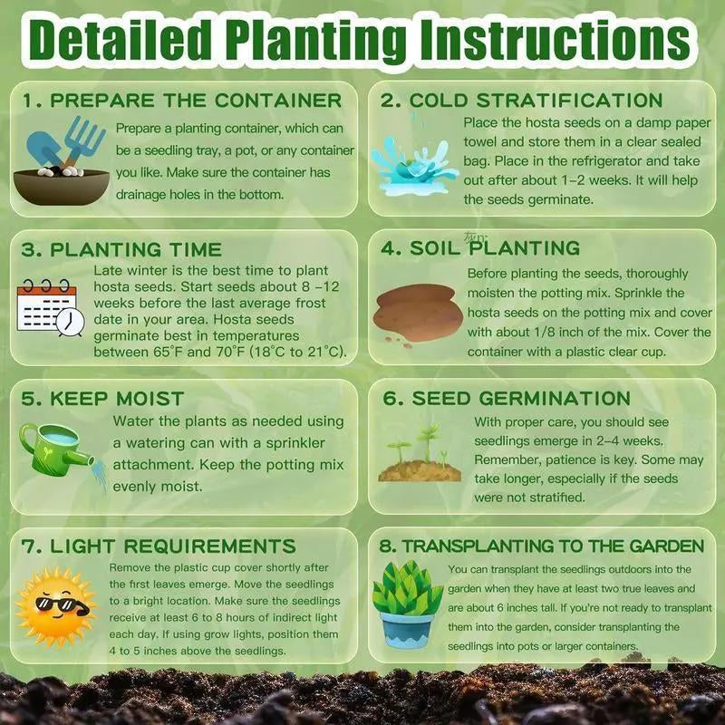 Hosta Seeds – Perennial Shade Plant for Garden and Yard